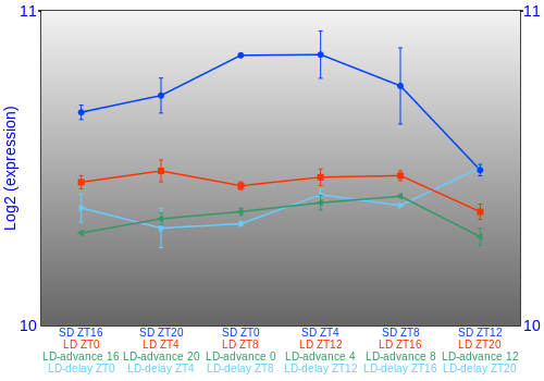 Expression graph