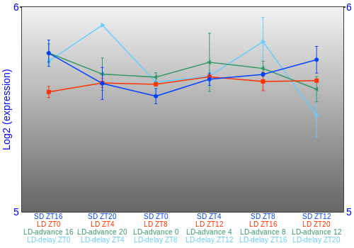 Expression graph