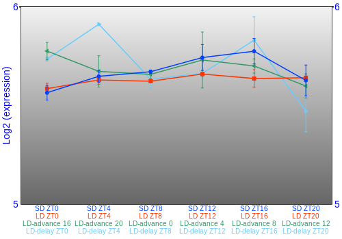 Expression graph