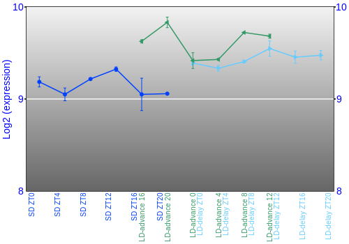 Expression graph