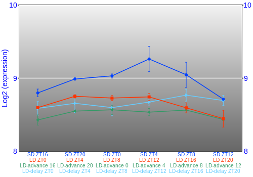 Expression graph