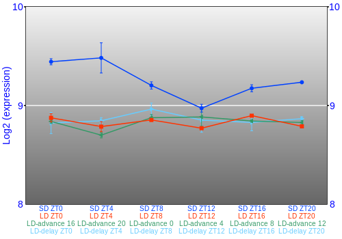 Expression graph