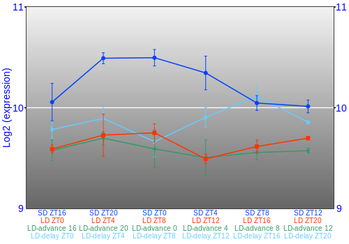 Expression graph