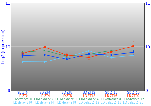 Expression graph