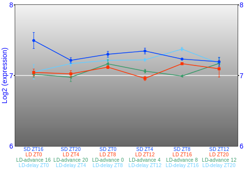 Expression graph