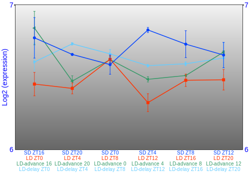 Expression graph
