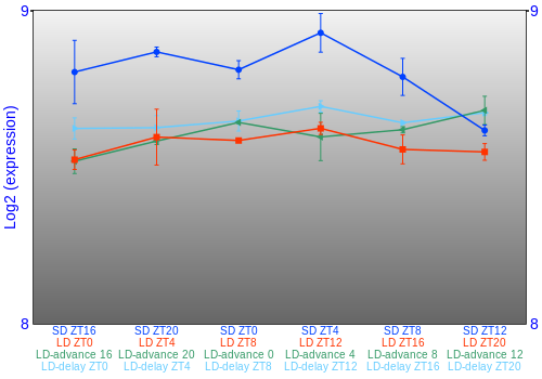 Expression graph