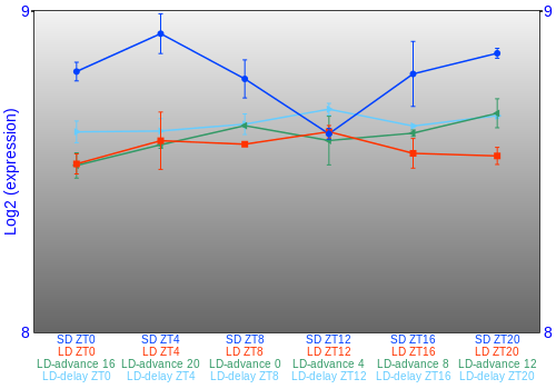 Expression graph