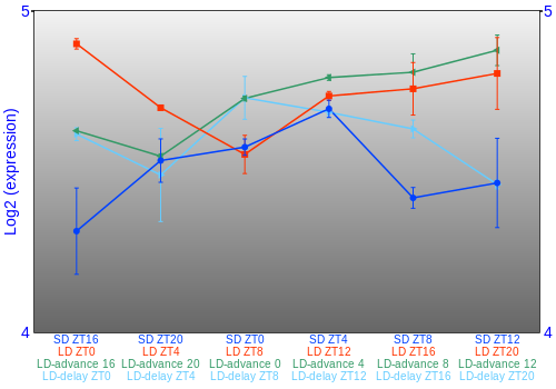 Expression graph