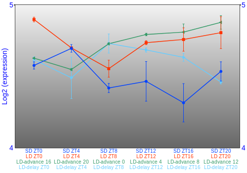 Expression graph