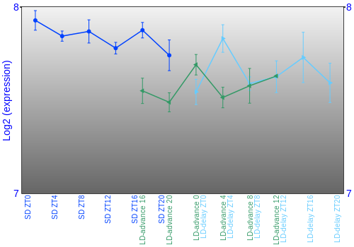 Expression graph