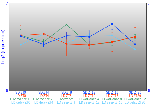 Expression graph