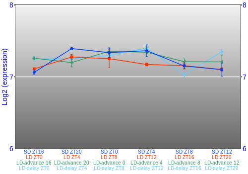 Expression graph