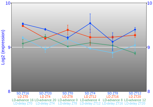 Expression graph