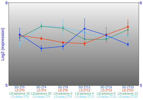 Expression graph