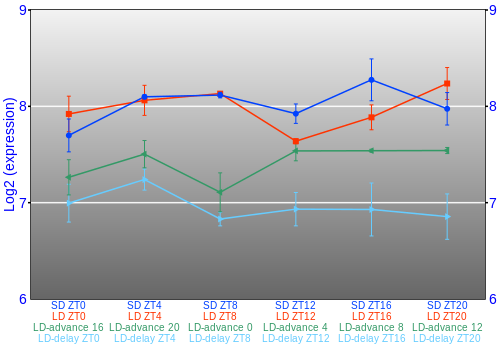 Expression graph