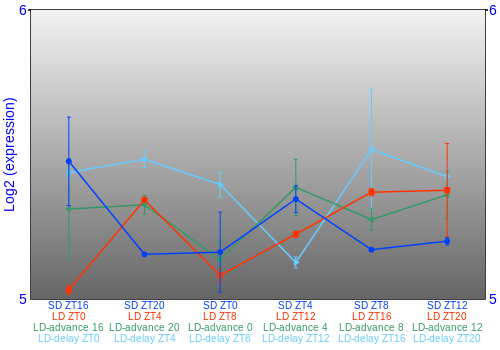 Expression graph