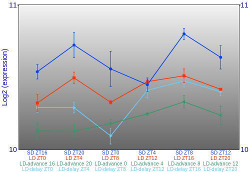 Expression graph