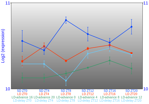 Expression graph