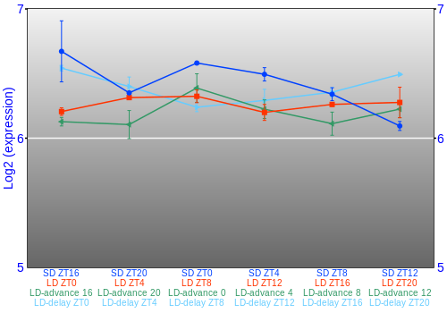Expression graph