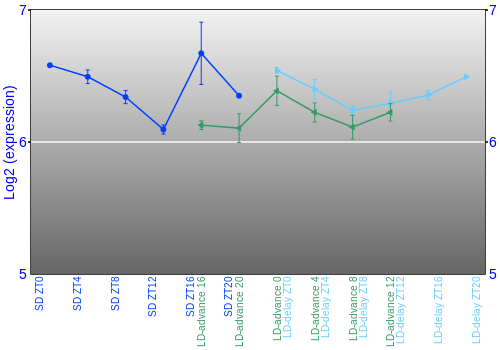 Expression graph