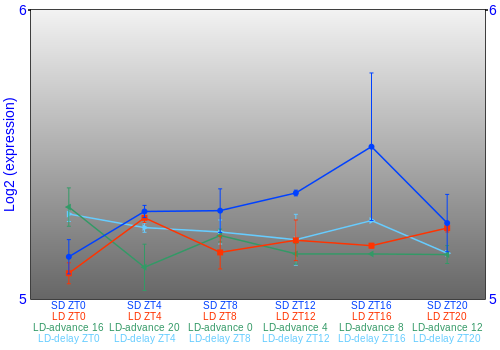 Expression graph