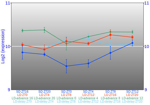 Expression graph