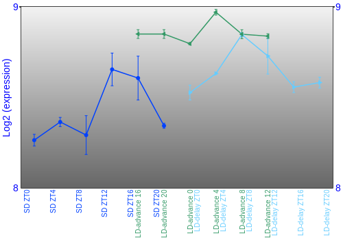 Expression graph