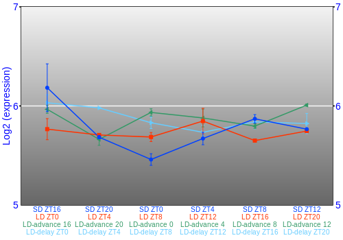 Expression graph