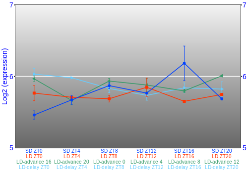 Expression graph