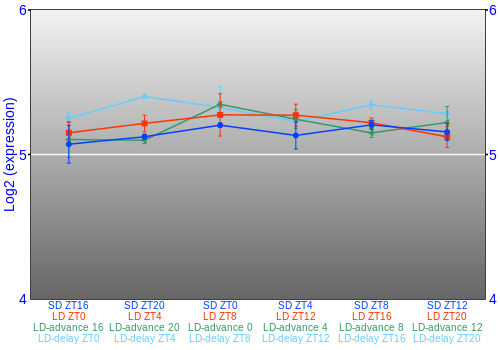 Expression graph