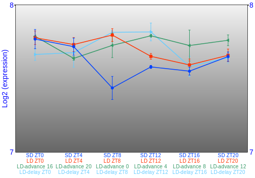 Expression graph