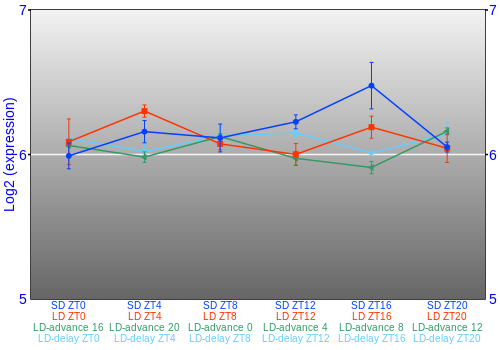 Expression graph