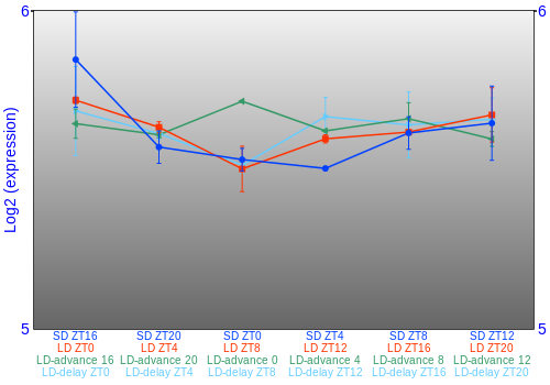Expression graph