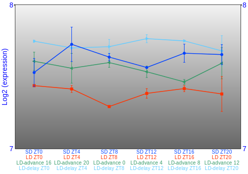Expression graph