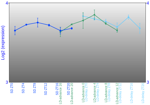 Expression graph