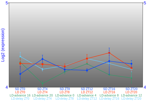 Expression graph