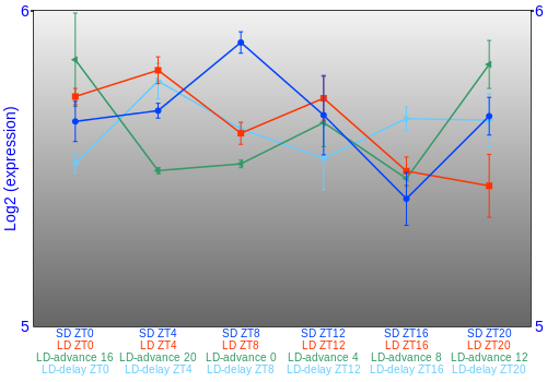 Expression graph