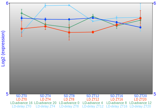 Expression graph