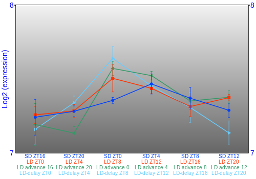 Expression graph