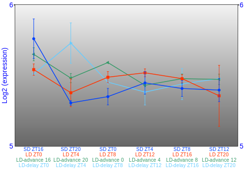Expression graph