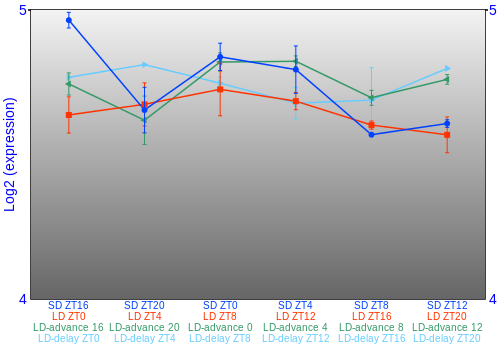 Expression graph