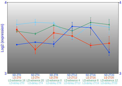 Expression graph