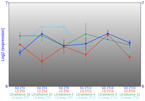 Expression graph