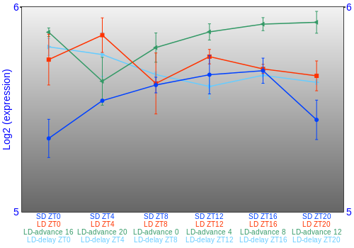 Expression graph