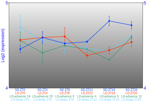 Expression graph