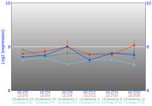 Expression graph