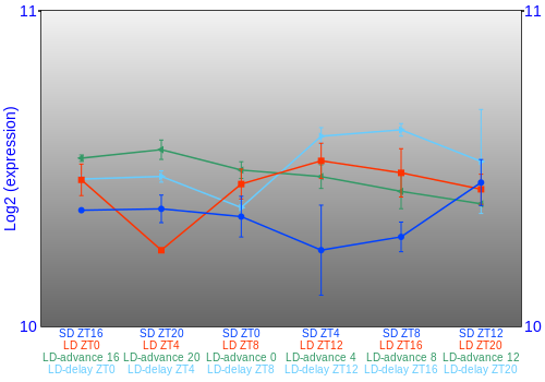 Expression graph