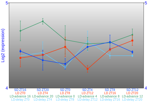 Expression graph