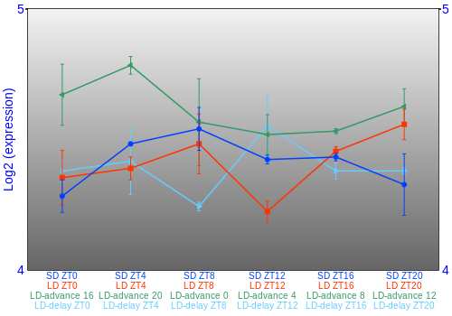 Expression graph
